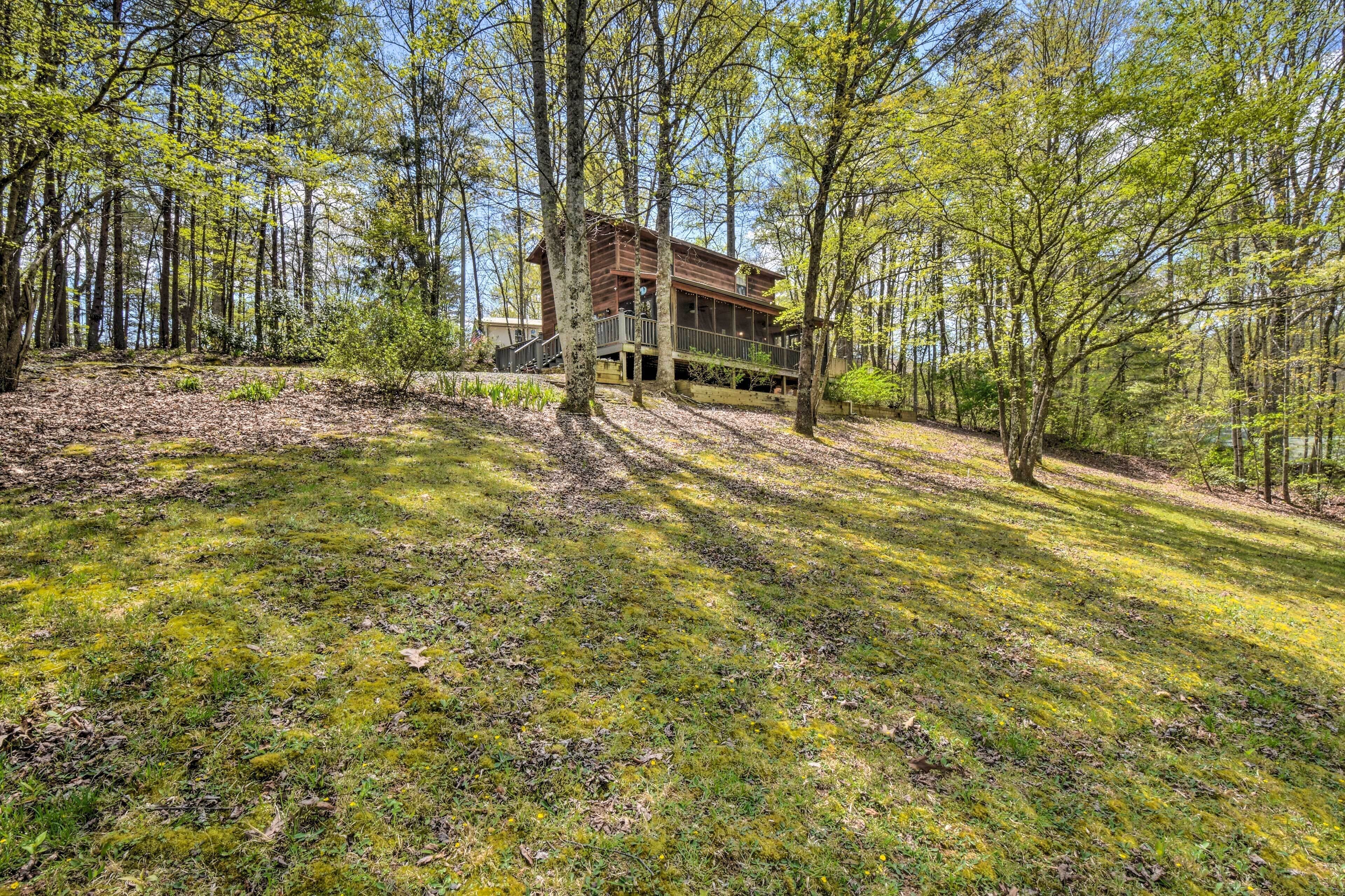 A cabin in a forest with a deck and stairs leading to the entrance.