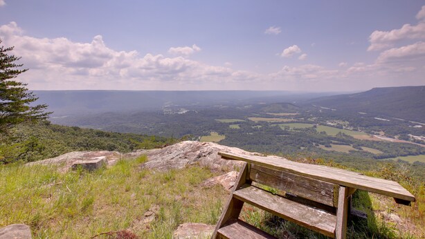A wooden bench overlooking a scenic landscape with rolling hills and a distant view of a valley. - Cozy Rising Fawn Studio ~ 4 Mi to Cloudland Canyon (Rising Fawn)