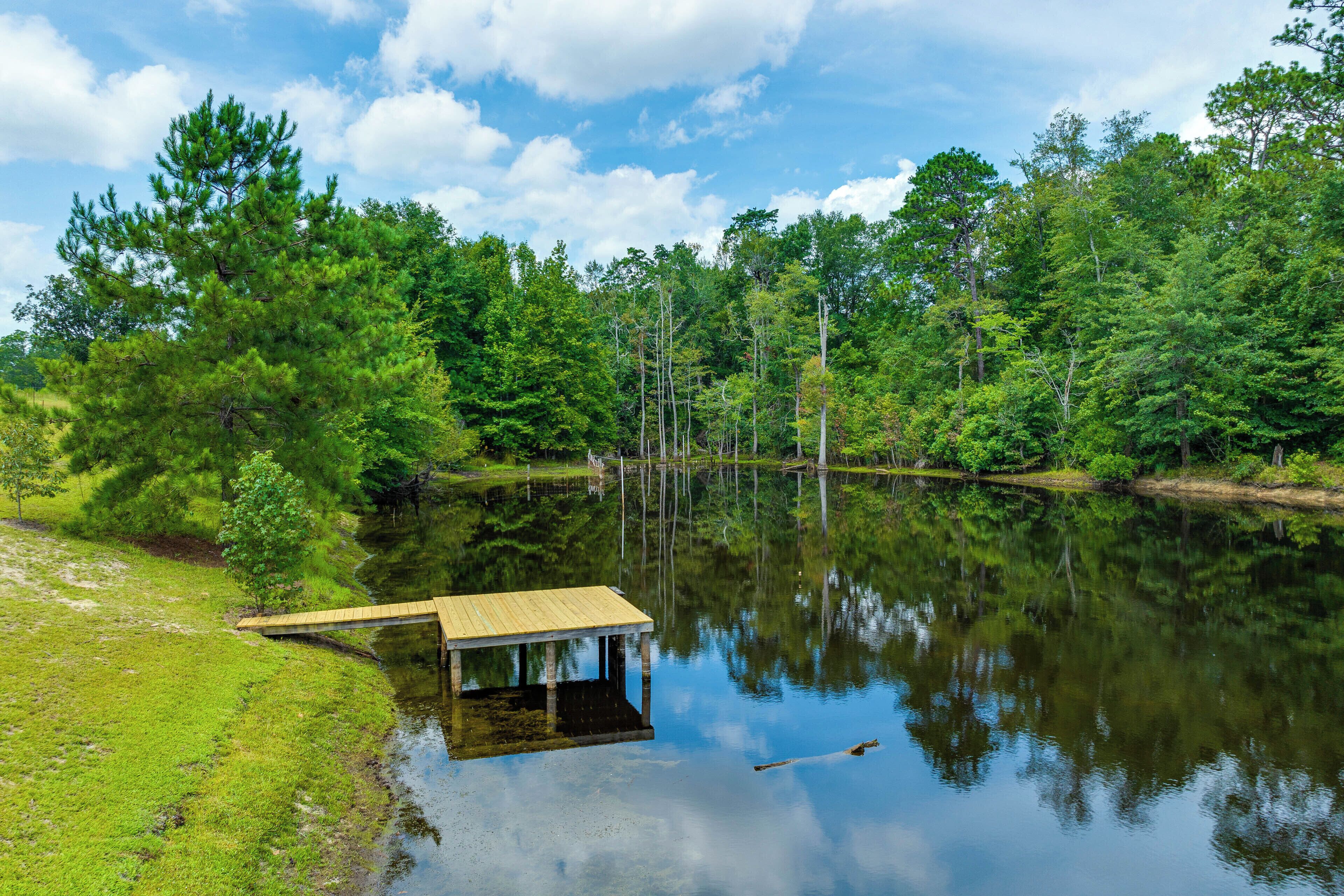 A wooden dock extending into a calm lake surrounded by dense green trees.