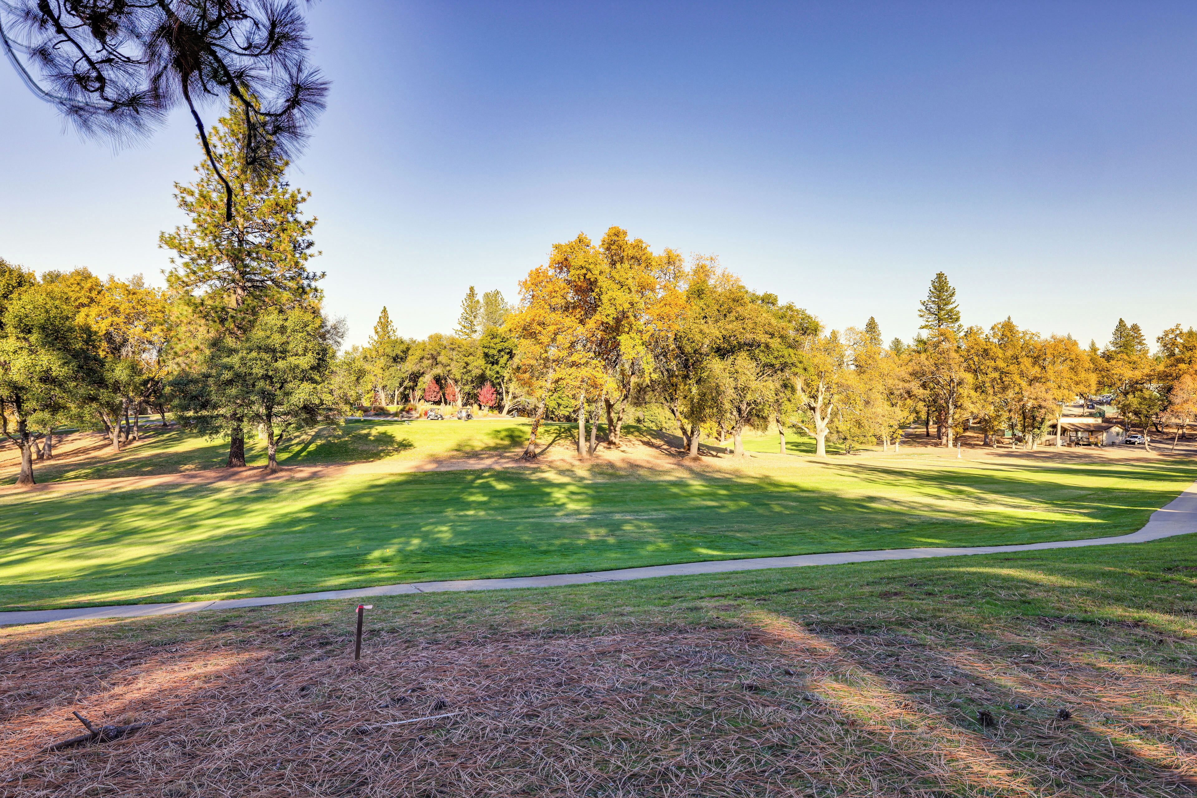 Un campo de golf con un sendero despejado, rodeado de árboles con follaje otoñal.