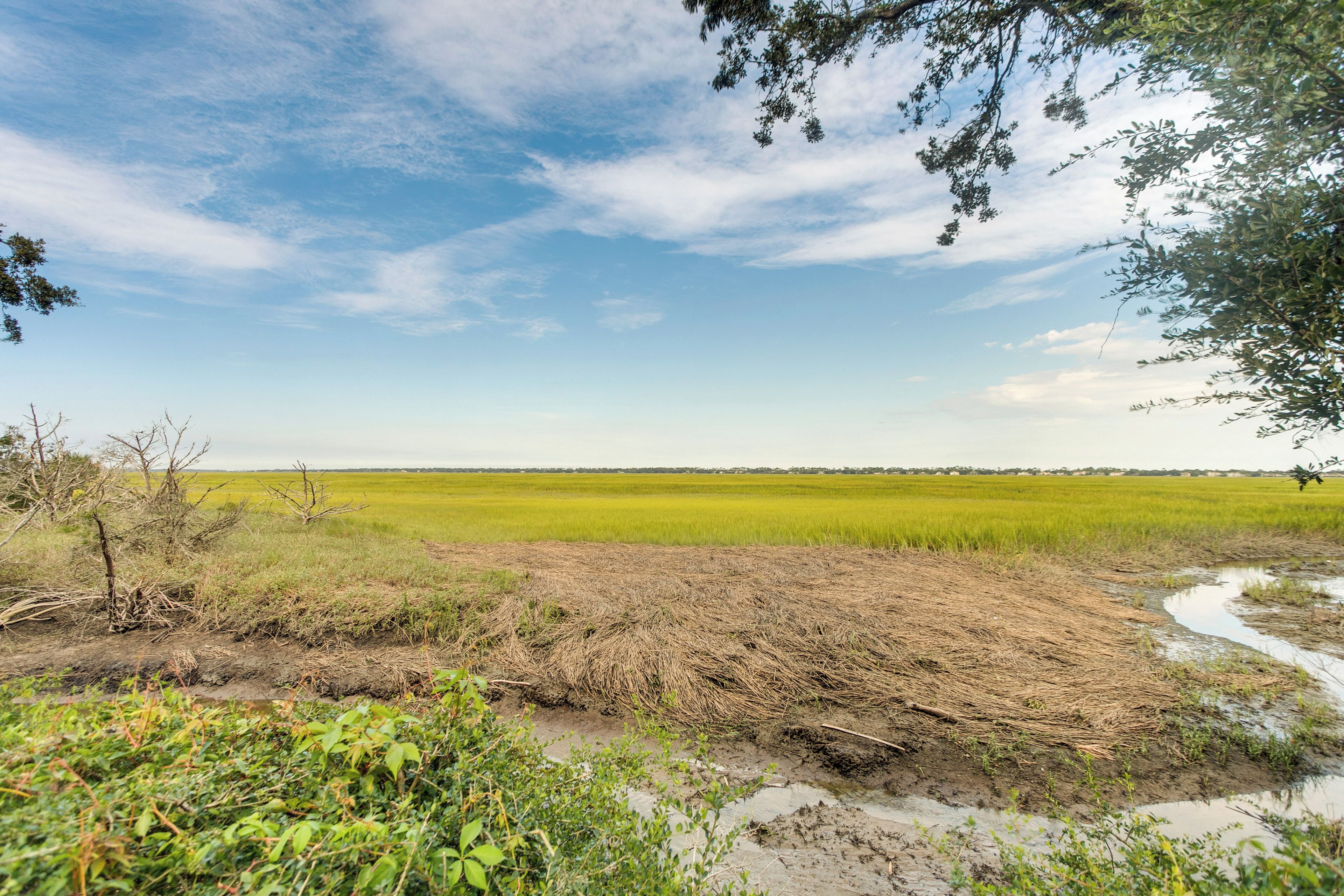 Um vasto campo verde com uma área enlameada em primeiro plano e um céu azul límpido.