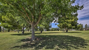 Un parc avec un grand arbre au premier plan, une zone herbeuse et un ciel dégagé.