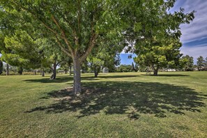 A park with a large tree in the foreground, a grassy area, and a clear sky.