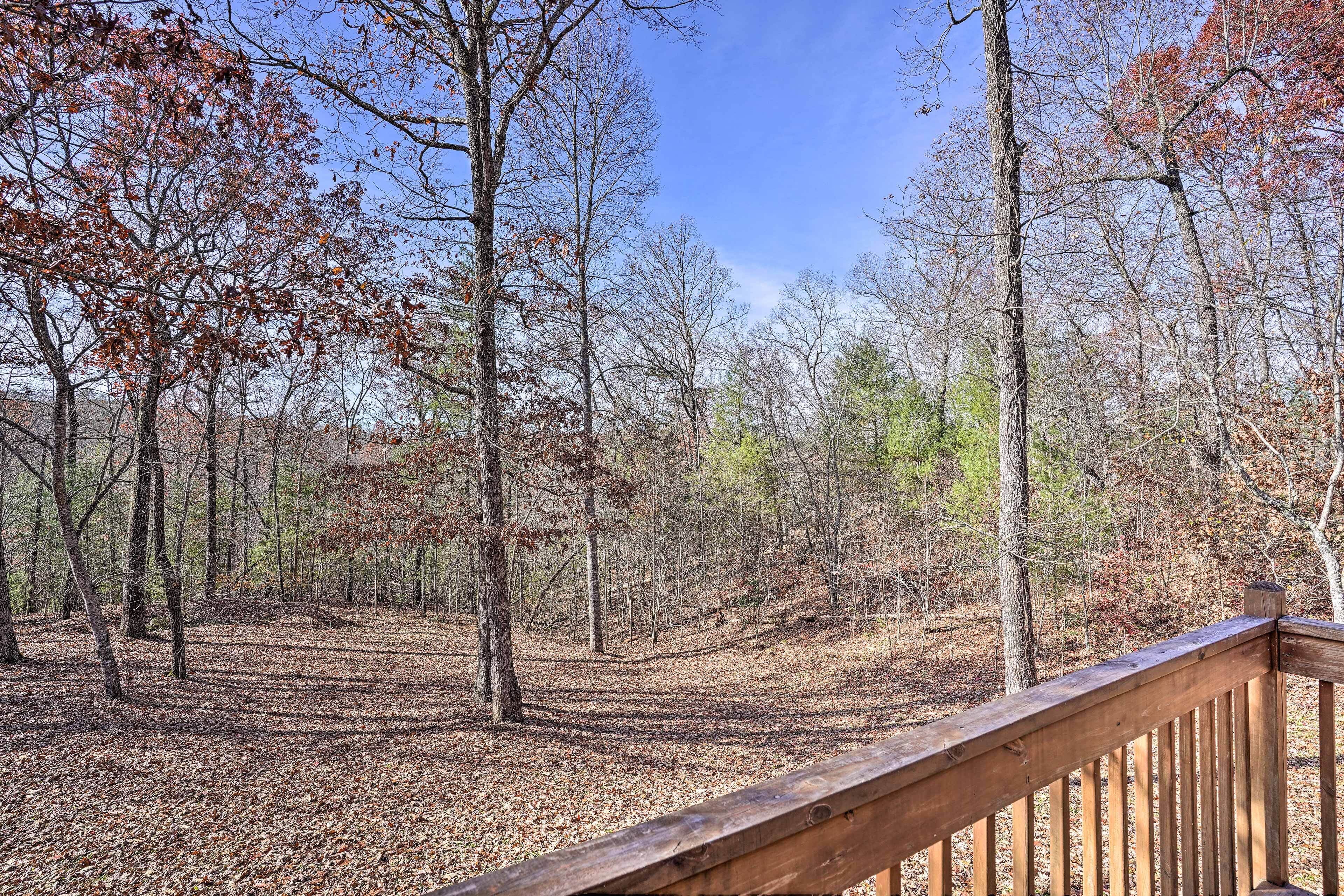 A forested area with a wooden deck.
