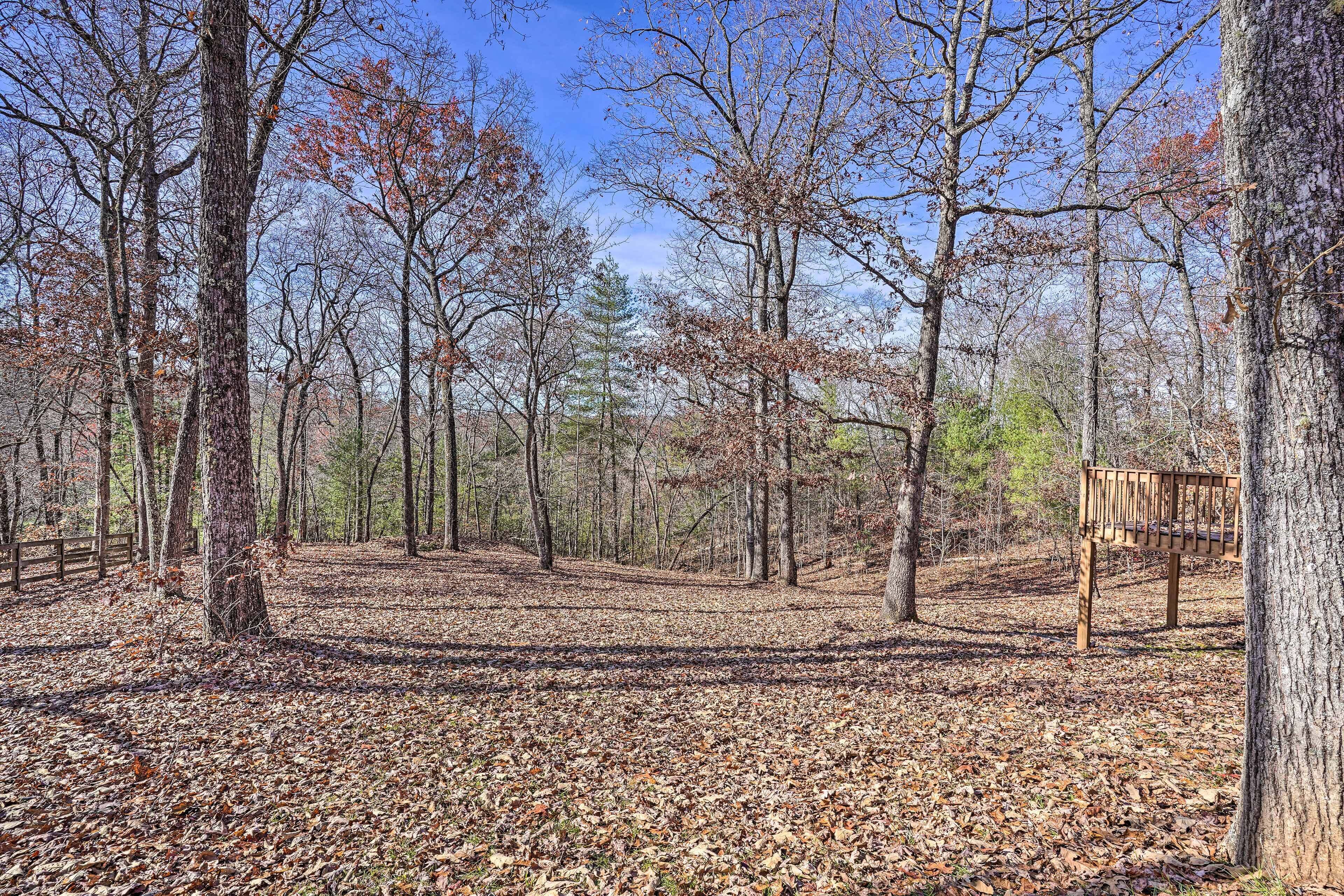 A forested area with a wooden bench and a dirt path.