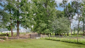 Property grounds - Dawsonville Apartment w/ Covered Patio! (Dawsonville)