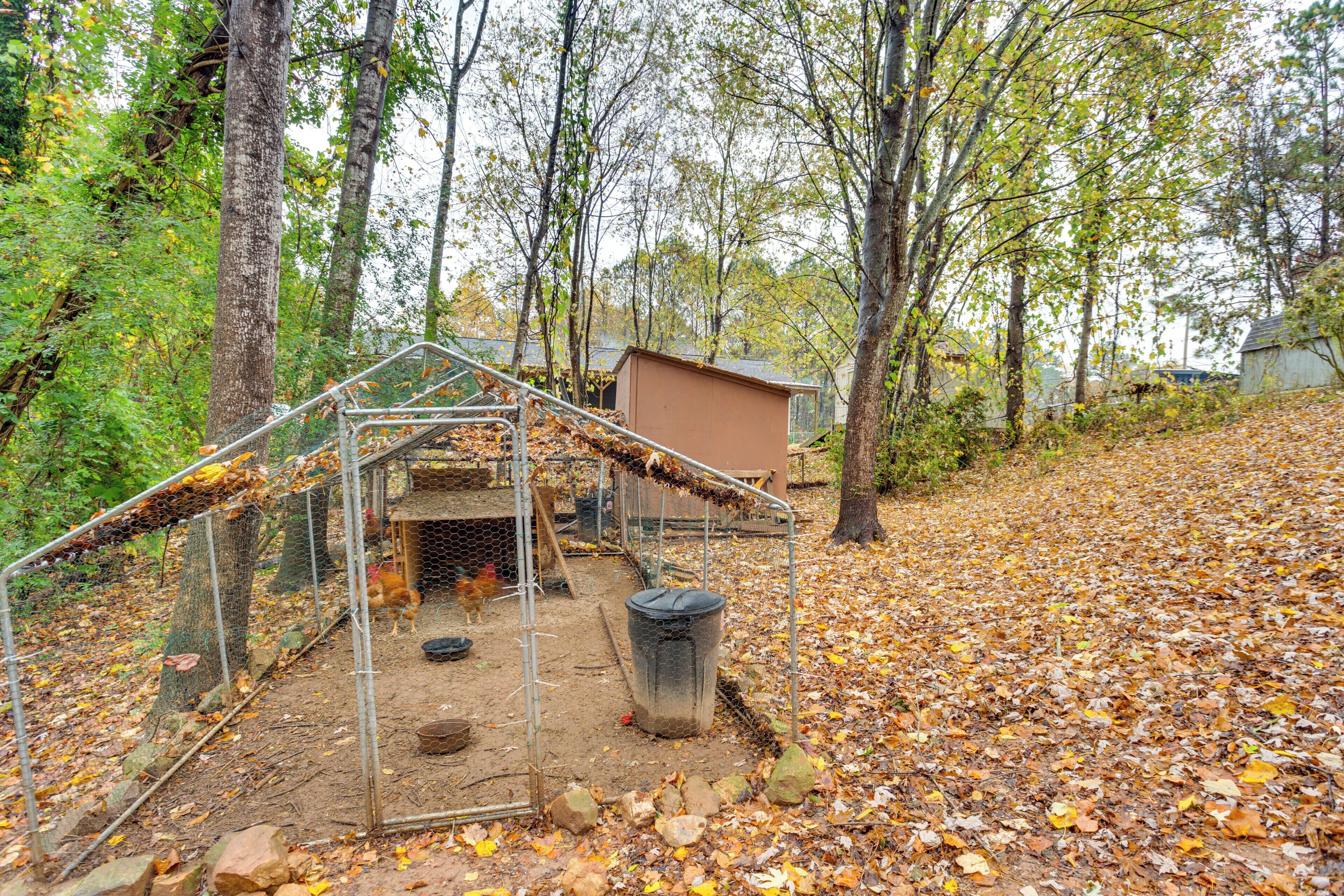 A fenced outdoor area with a chicken coop, a trash bin, and a small shed.