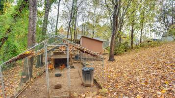 A fenced outdoor area with a chicken coop, a trash bin, and a small shed.