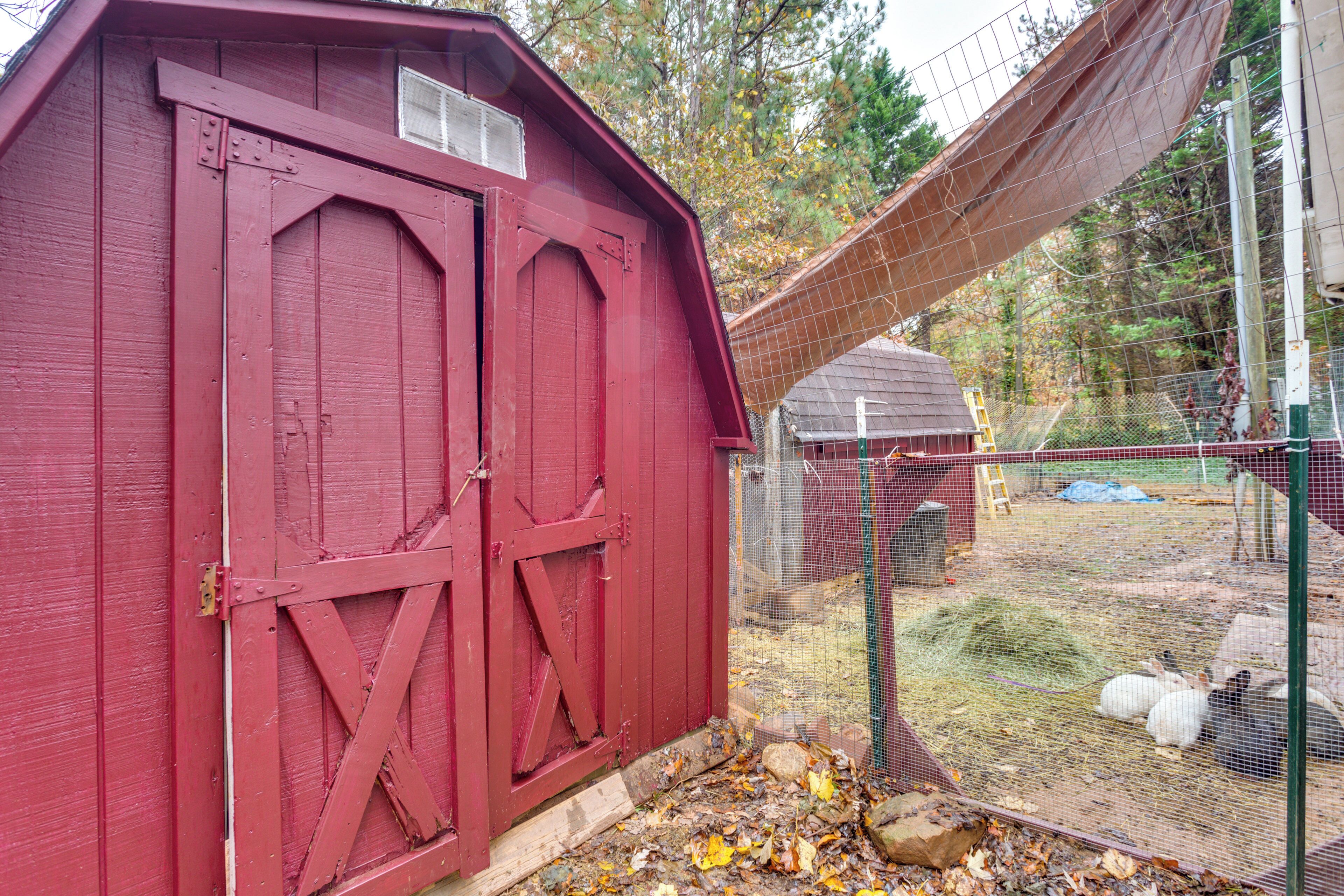 A red barn with a metal gate and a fenced area with hay and rocks.