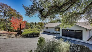 Une maison moderne avec un garage, entourée d’arbres et d’arbustes.