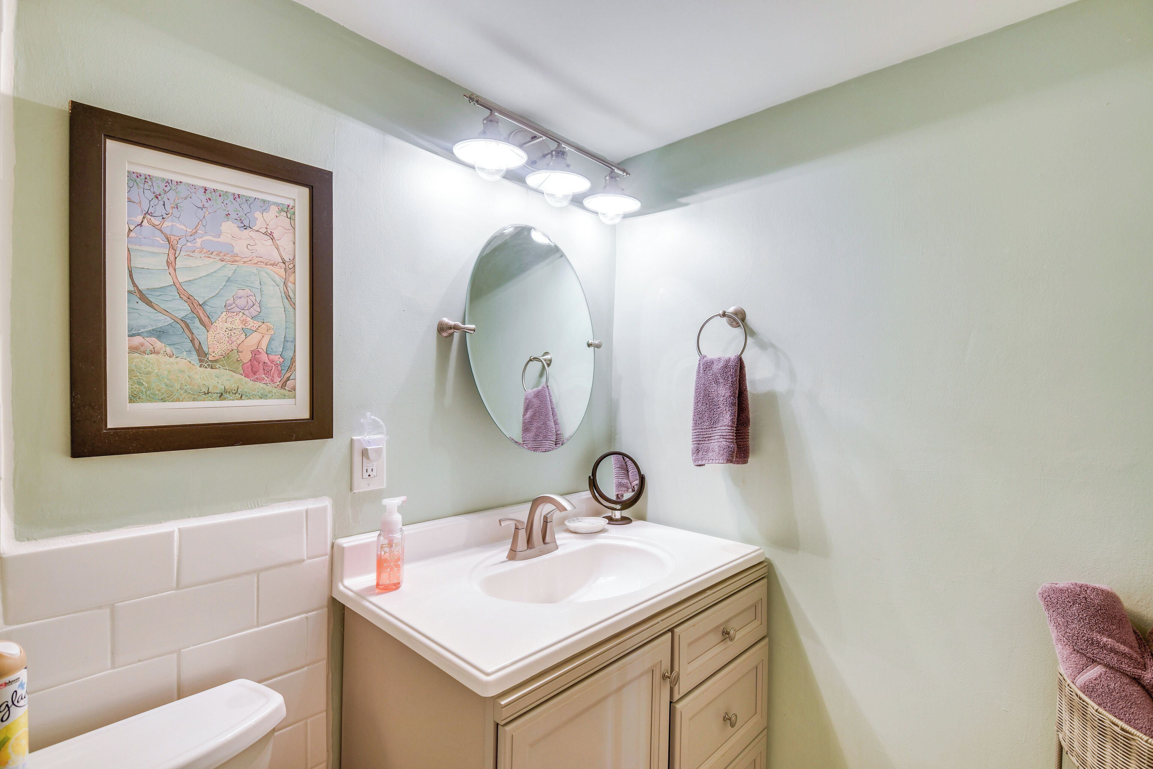 A bathroom with a white sink, a mirror, a framed picture on the wall, and a toilet.