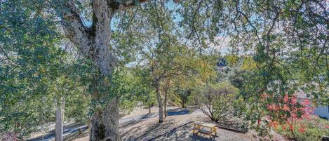 A park with a gravel path, a wooden bench, and trees.