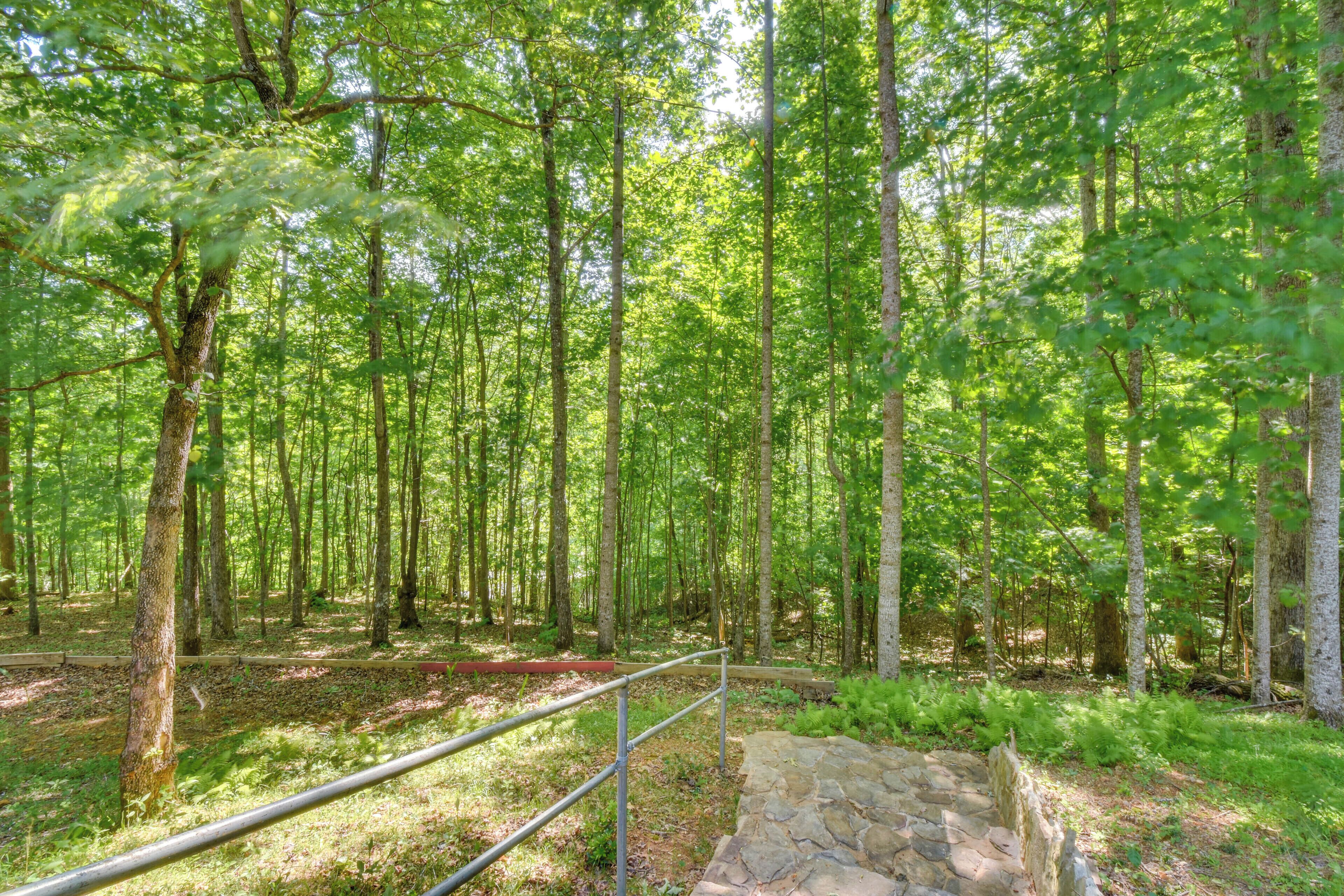 A forested area with a stone staircase and metal railing.