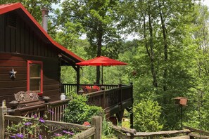 Property grounds - Ellijay Escape on Briar Creek w/ Hot Tub & Views! (Ellijay)