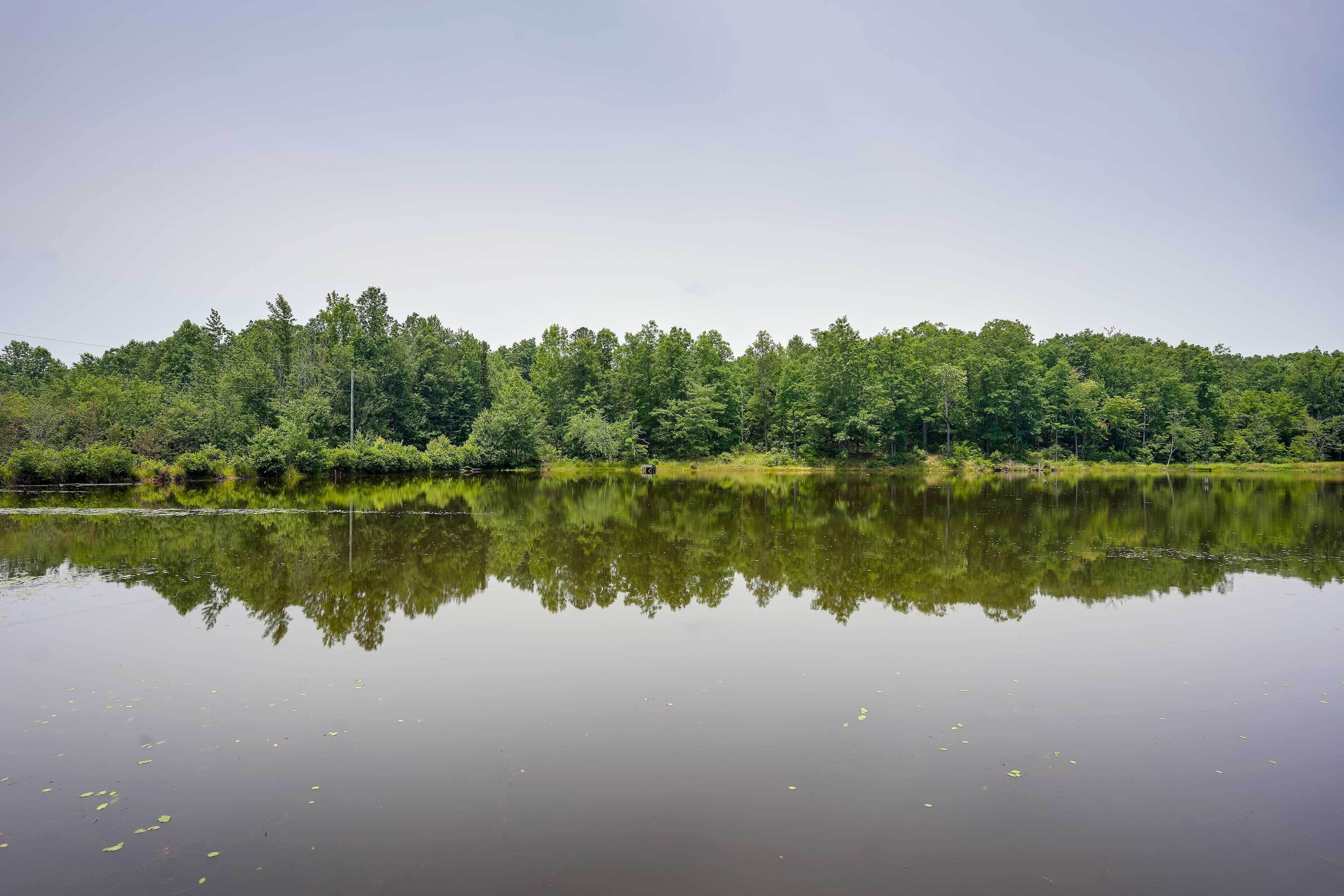 Un lac paisible dont les eaux reflètent la forêt dense qui l’entoure.