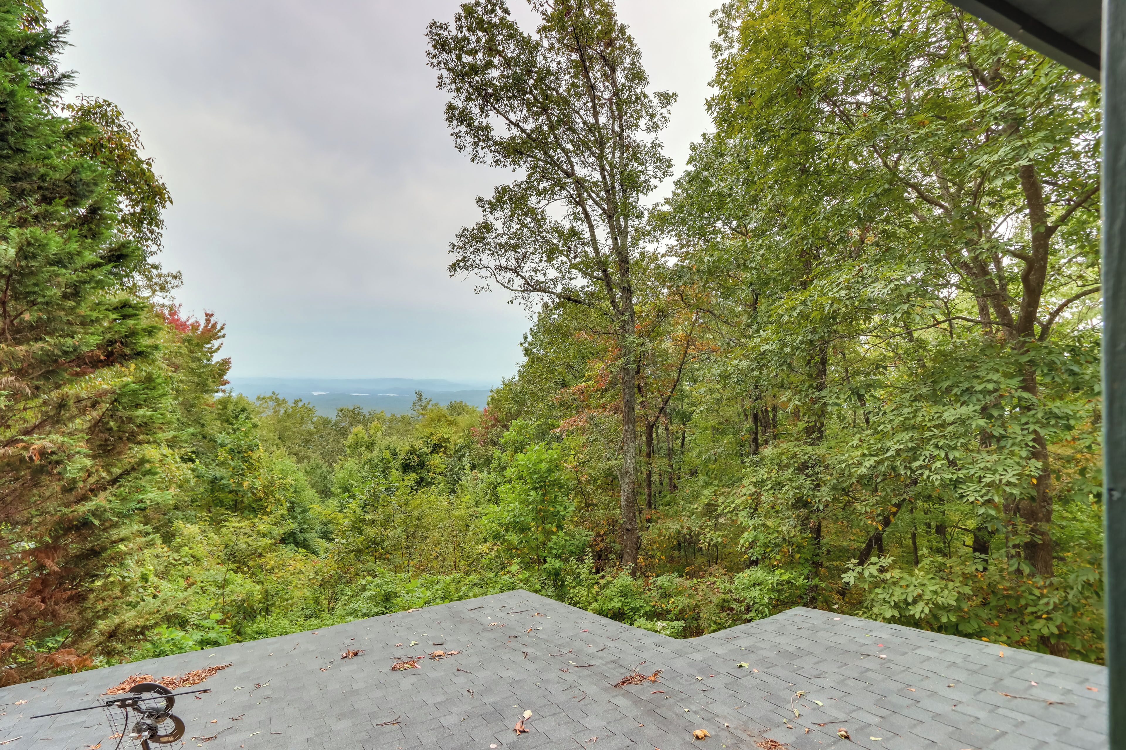 House (1 Bedroom) | Interior