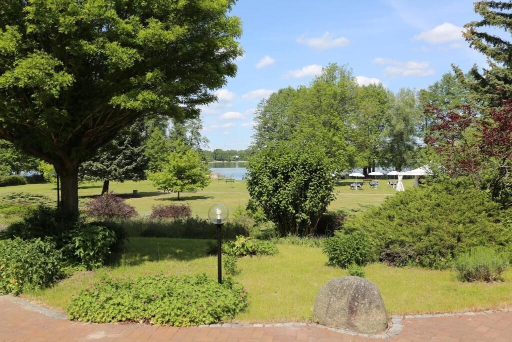 Een park met een grote boom, een vijver en een tuinhuisje met parasols.