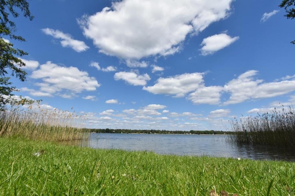A lake with grassy banks and reeds, under a partly cloudy sky.