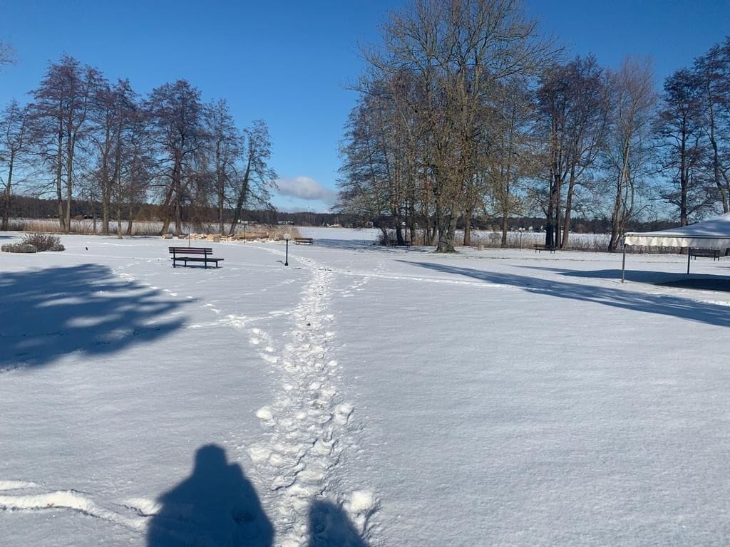 A snow-covered park with benches and trees.