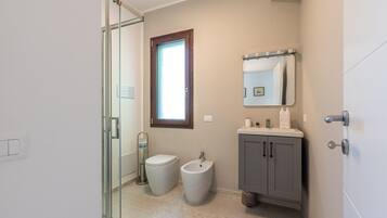 Shower, hair dryer, bidet, towels
