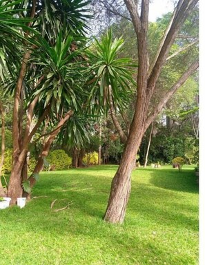 Property grounds - Cozy, TINY house in Karen with gorgeous garden. (Nairobi)