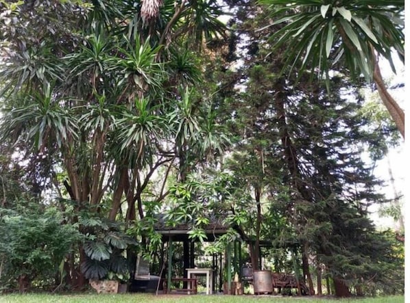Property grounds - Cozy, TINY house in Karen with gorgeous garden. (Nairobi)