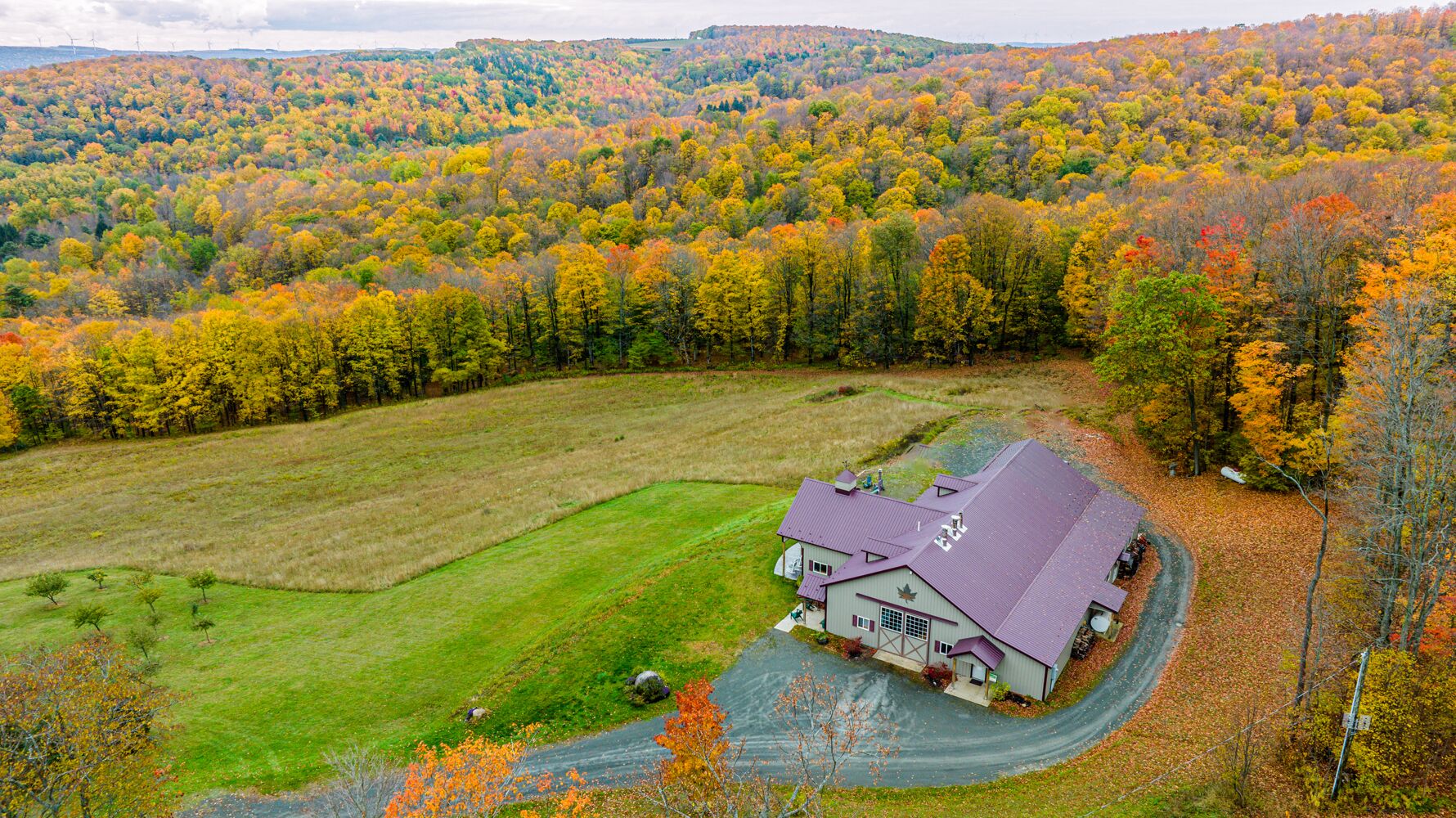 Cozy Maple Farm Lodge in the Finger Lakes. Close to wine trails & skiing