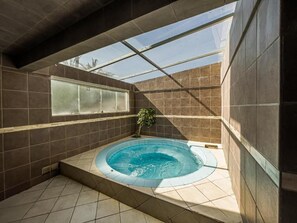 A spa area with a hot tub, a skylight, and a potted plant.