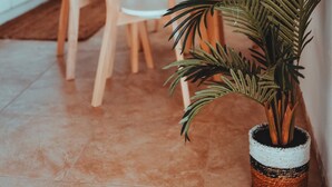 Une cuisine moderne avec des armoires blanches, une table à manger en bois et des chaises. On peut voir une plante en pot sur le comptoir et un luminaire suspendu.