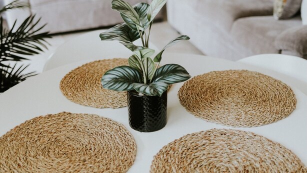 Un salon avec un canapé beige, un luminaire suspendu en fibres tressées et une plante en pot posée sur une table blanche.