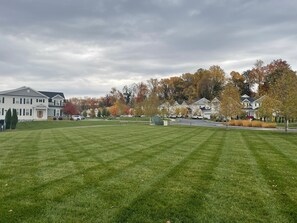 Esterni