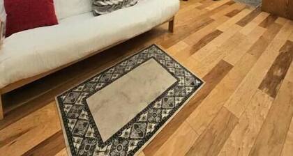 Entire Apartment in the center of Orem