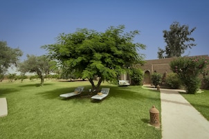 Area per barbecue/picnic