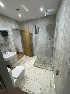 Shower, hair dryer, towels, soap