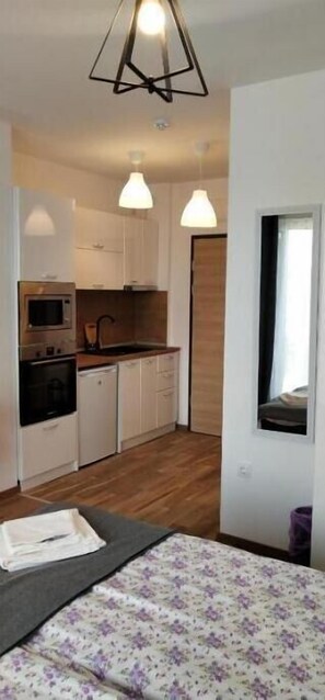 1 bedroom, iron/ironing board, WiFi, bed sheets