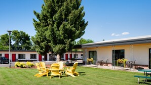 A motel with a grassy lawn, yellow chairs, and a large tree. - Classic Retro Motel in Bozeman (Bozeman)