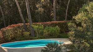 A swimming pool surrounded by lush greenery and trees. - Villa Mirasol - Eight Bedroom Villa, Sleeps 16 (Mali Losinj)