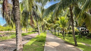 A pathway lined with palm trees and a brick walkway. - Huge Private Home - Exclusive Beach Access and Breathtaking Rooftop Sunset Views (Jaco beach)