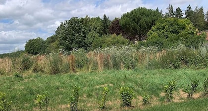 Chambre sur Jardin Avec Jacuzzi Privatif L'été et Terrasse