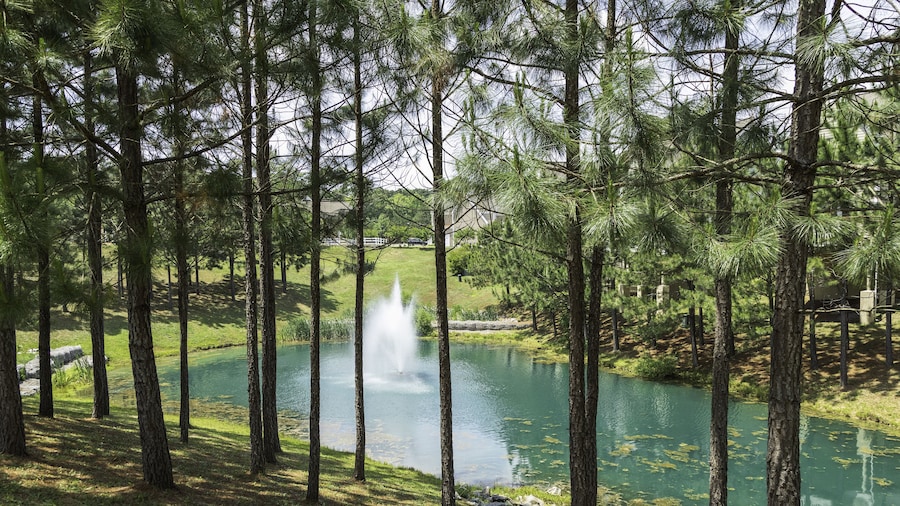 King’s Creek Resort by Spinnaker