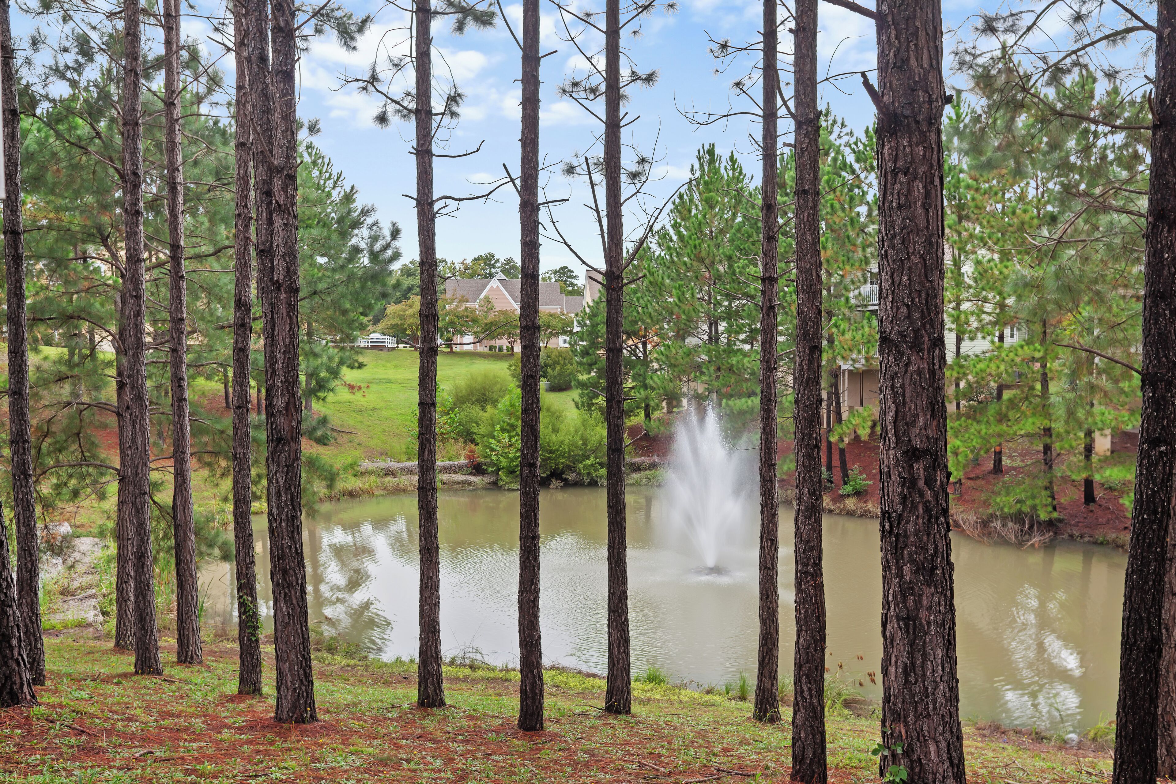 A serene outdoor area with tall pine trees, a pond with a fountain, and a residential building in the background.