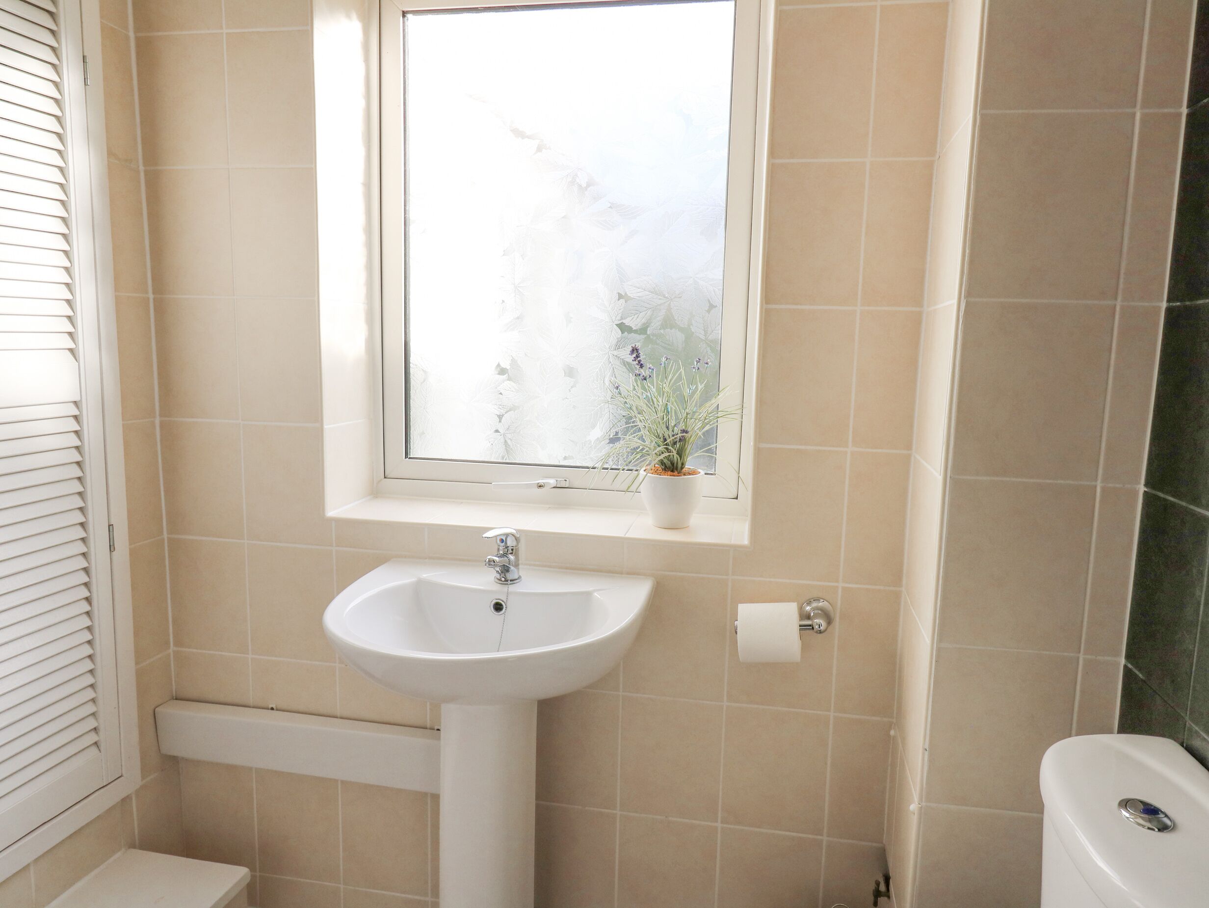 Un baño con un lavabo blanco, una ventana con vidrio esmerilado y una planta en el alféizar.