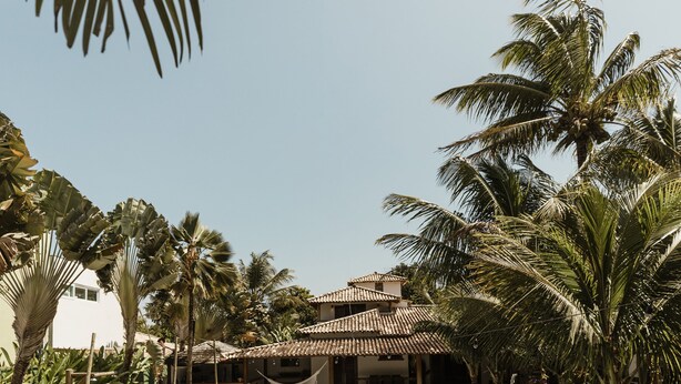 A swimming pool with lounge chairs and palm trees. - Villa Bahia Sol - Trancoso  (Porto Seguro)