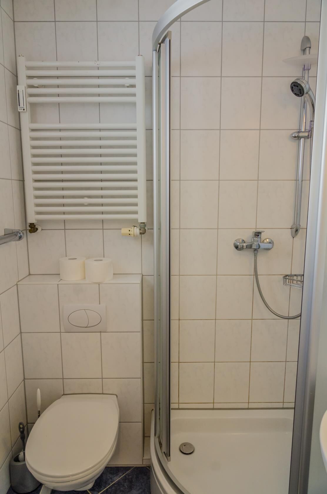 Een badkamer met toilet, douche en een handdoekrek.