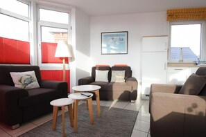 电视、DVD 播放器