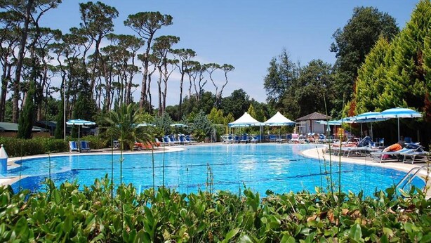 A swimming pool surrounded by lounge chairs and umbrellas, with trees in the background.