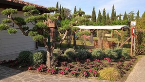 A garden with a bonsai tree, a pergola, and a fire extinguisher.