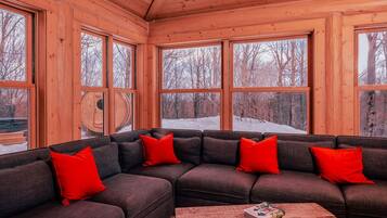 TV, fireplace, video games