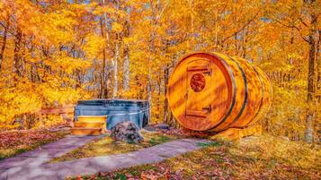 Ărea da propriedade