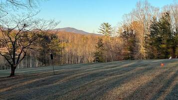 Escape to a serene natural oasis with a tranquil grassy area, a majestic tree, and a distant hillside view.